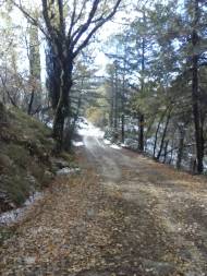 A winter sunday walk near Città di Castello