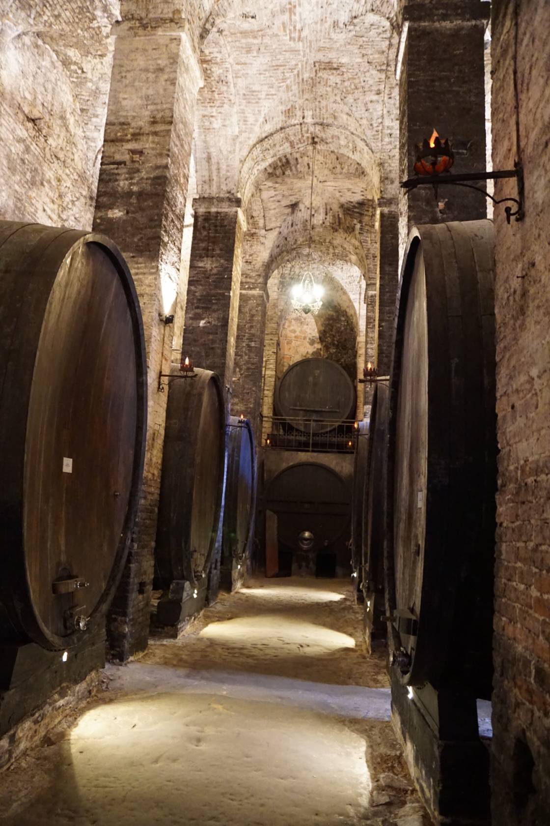 Wine cellar in Montalcino