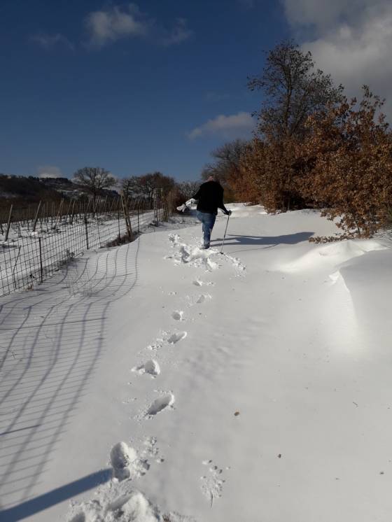 Schnee Februar 2018-2.jpg