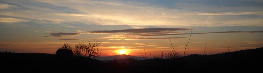 Streaks of light on the horizon