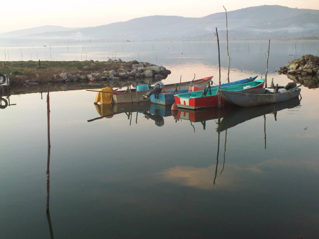 Trasimeno Abendstimmung mit Blesshuhn