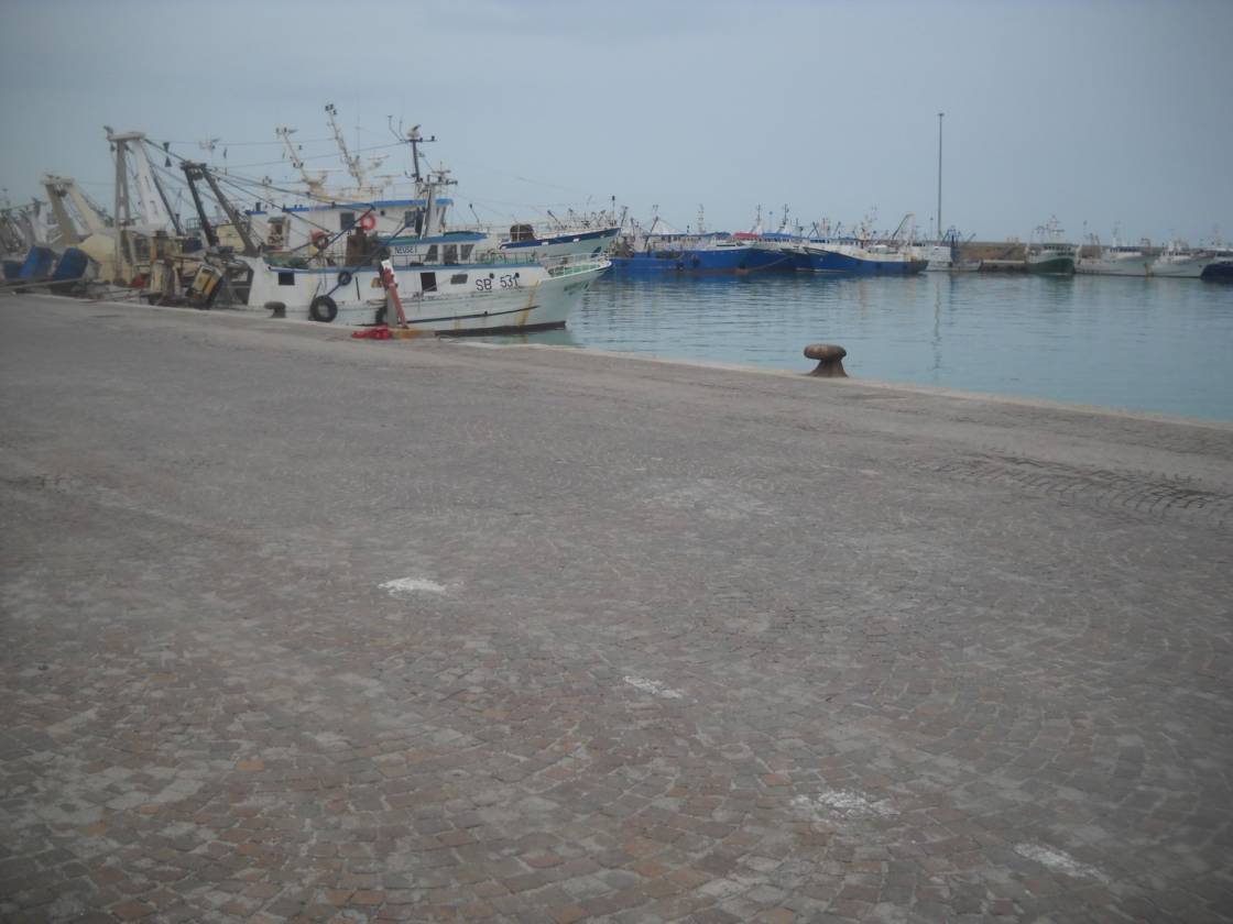 Fishing harbor of San Benedetto del Tronto