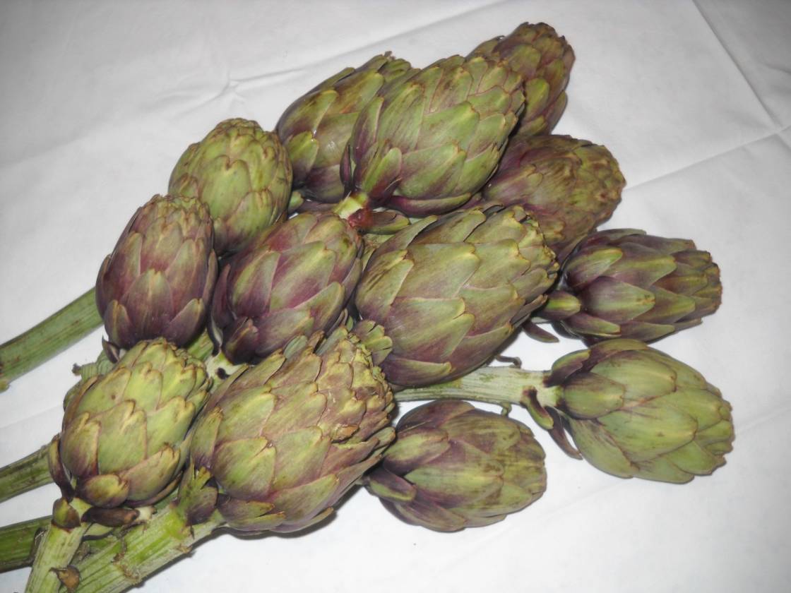 Artichokes