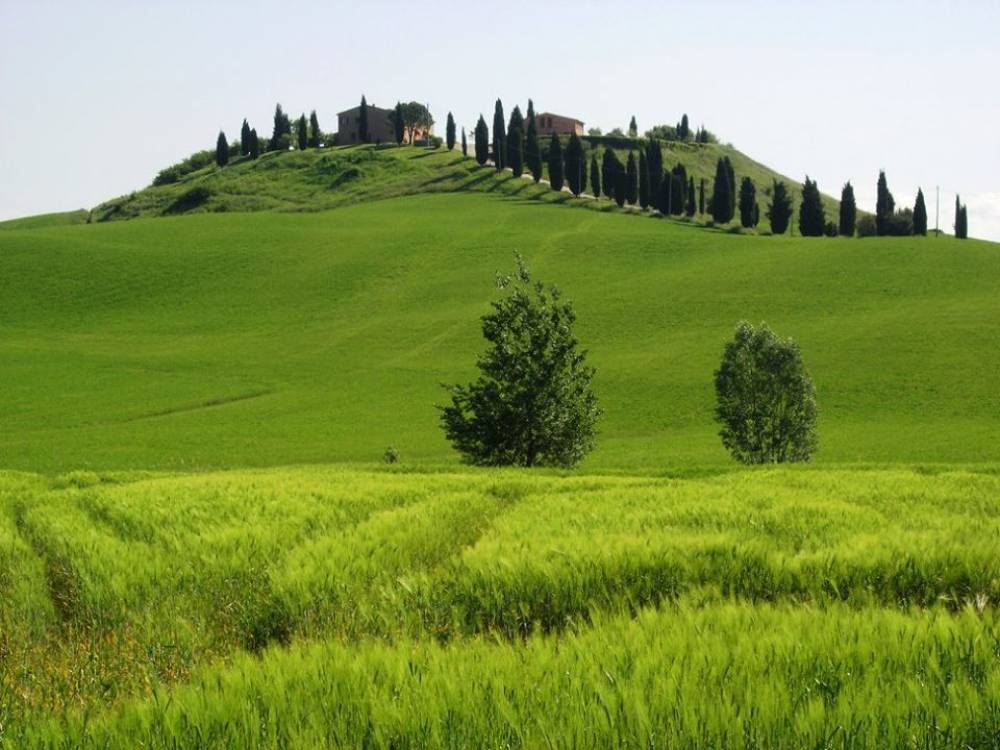 Landscape around Monte Amiata. Photo: Helen Malbon