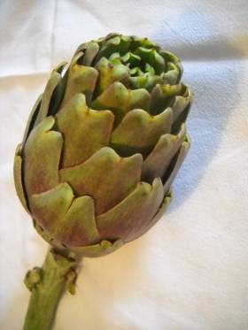 Artichoke