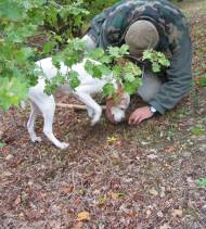 Truffle hunting in Umbria